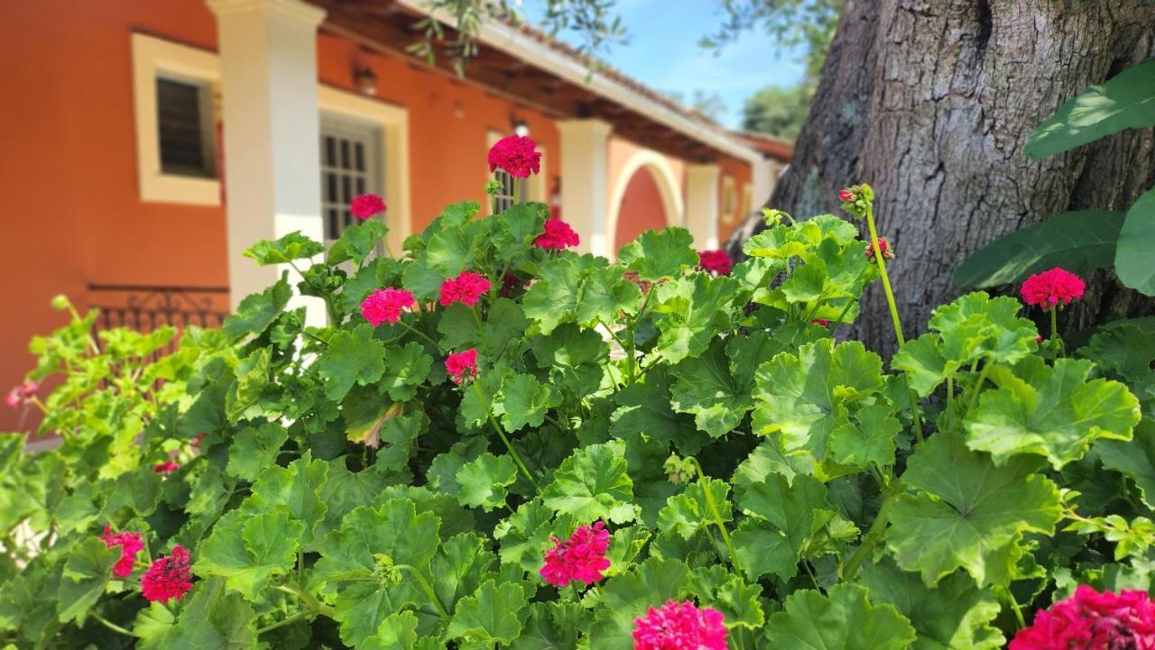 Aristea Studios Kato Korakiana Екстер'єр фото